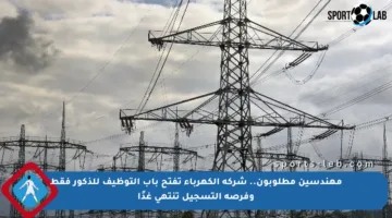 مهندسين مطلوبون.. شركة الكهرباء تفتح باب التوظيف للذكور فقط وفرصة التسجيل تنتهي غدًا